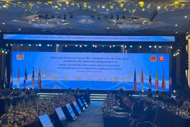 Quang cảnh hội nghị. (Ảnh: Hằng Trần/Vietnam+)