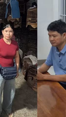 Phát hiện tại một kho cất giấu 433 cá thể động vật hoang dã không rõ nguồn gốc