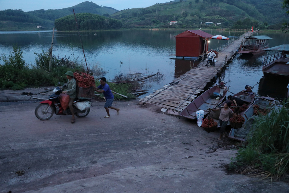 Người dân chở vải đi qua cầu phao (do nhân dân đóng góp để xây dựng) rất khó khăn. (Ảnh: Danh Lam/TTXVN)