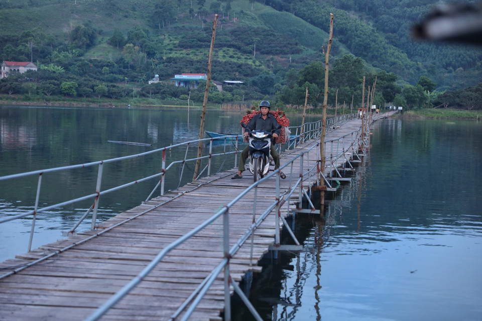 Thu nhập từ vụ vải thiều hằng năm là thu nhập chính của người dân nơi đây nhưng do giao thông đi lại khó khăn và giá xăng, dầu tăng cao khiến vụ vải năm 2022 không thu được lợi nhuận như mọi năm. Người dân chở vải đi qua cầu phao (do nhân dân đóng góp để xây dựng) rất khó khăn. (Ảnh: Danh Lam/TTXVN)