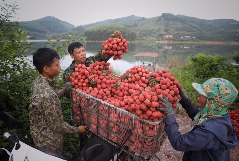 Người dân chuyển vải từ thuyền lên xe máy mang đi bán. (Ảnh: Danh Lam/TTXVN)