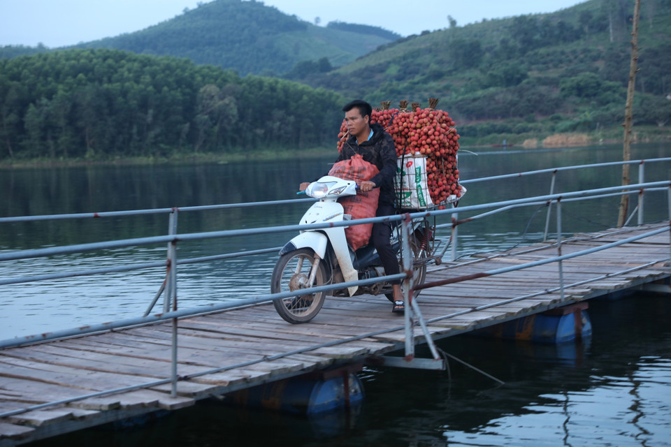 Người dân chở vải đi qua cầu phao (do nhân dân đóng góp để xây dựng) rất khó khăn. (Ảnh: Danh Lam/TTXVN)