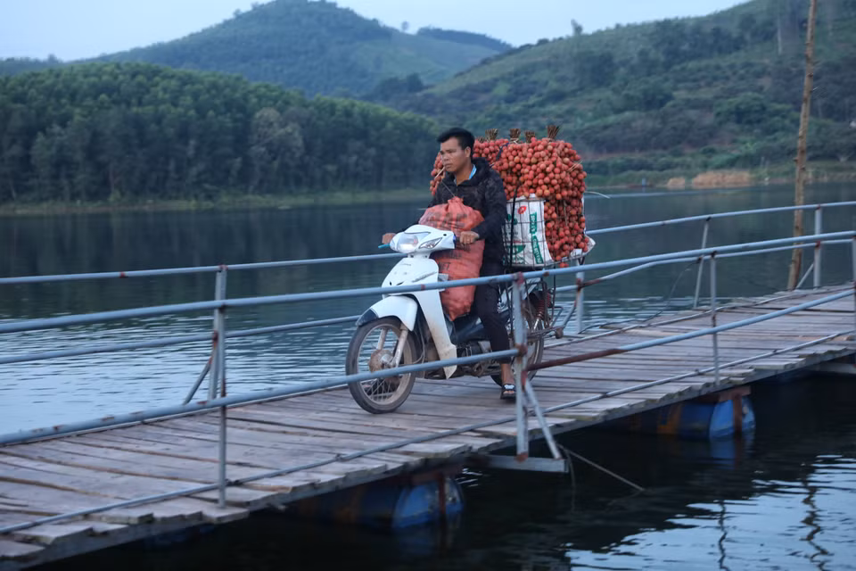 Người dân chở vải đi qua cầu phao (do nhân dân đóng góp để xây dựng) rất khó khăn. (Ảnh: Danh Lam/TTXVN)