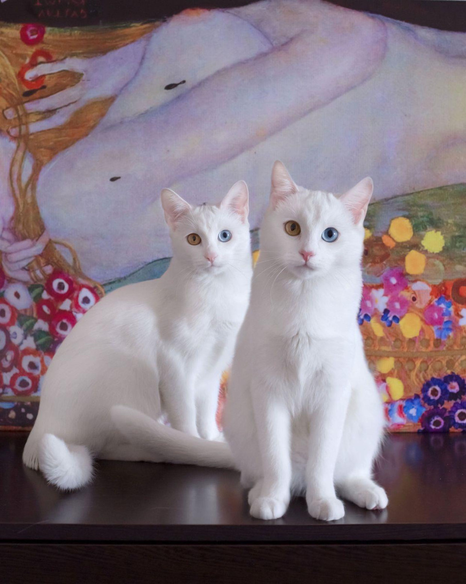 (Nguồn: Caters News)