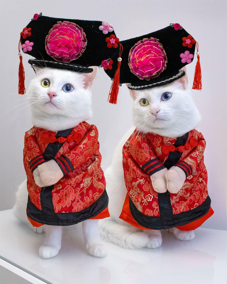 (Nguồn: Caters News)