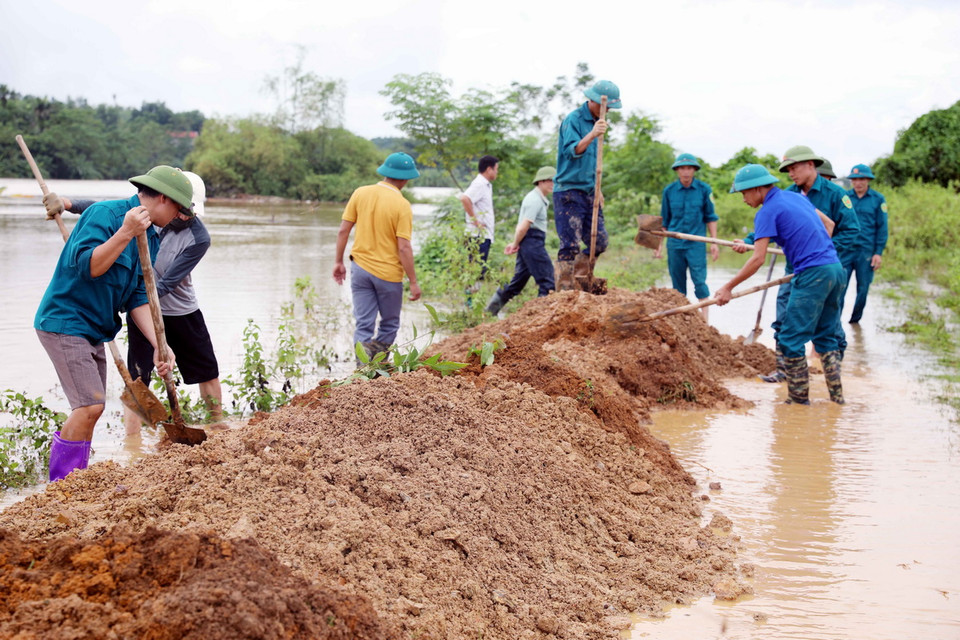 UBND các xã Tuy Lộc, Minh Tân, Thụy Liễu… huy động hàng trăm dân quân quân tự vệ đắp đê bao ngòi Giành, xã Tuy Lộc, huyện Cẩm Khê. (Ảnh: Tạ Toàn/TTXVN)