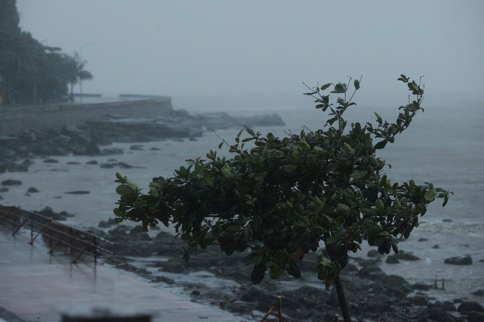 Khu vực Đồ Sơn gió tăng cấp 10-11, mưa lớn (ảnh chụp lúc 12h30). (Ảnh: Minh Quyết/TTXVN)