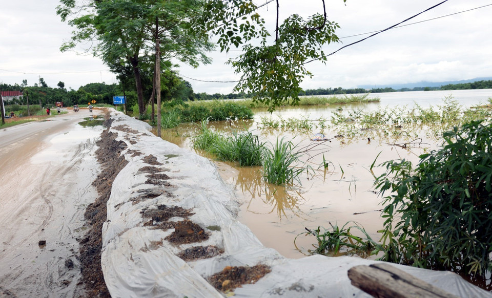 Ngày 10/9/2024, huyện Hạ Hòa đã huy động lực lượng dân quân tự vệ gia cố các đê bối, đê quai. (Ảnh: Tạ Toàn/TTXVN)