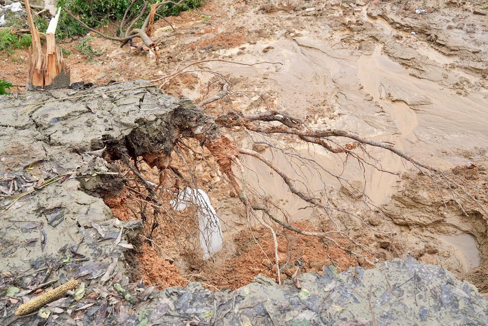 Hiện trường vụ sạt lở đê tả Lô thuộc địa phận thôn Hồng Đường, xã Bạch Lưu (Sông Lô, Vĩnh Phúc). (Ảnh: Hoàng Hùng/TTXVN)