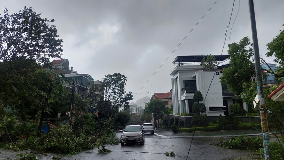 Tại thành phố Hạ Long, Quảng Ninh, rất nhiều cây xanh gãy đổ, biển quảng cáo bay tứ tung rất nguy hiểm. (Ảnh: Thanh Vân/TTXVN)