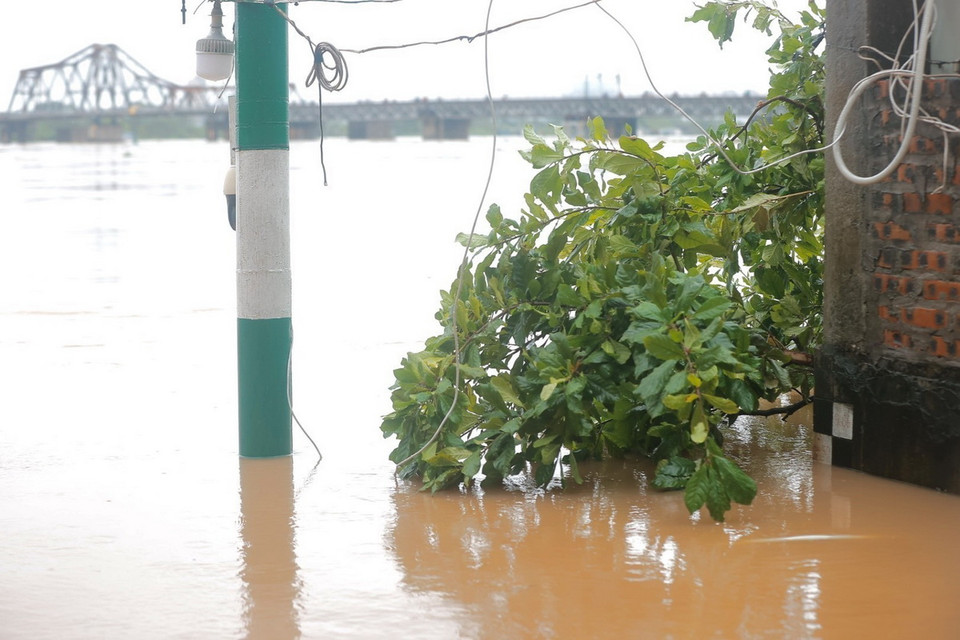 Mực nước sông Hồng ở mức báo động 1 là 9m50 lúc 8h30 ngày 10/9. (Ảnh: Minh Quyết/TTXVN)