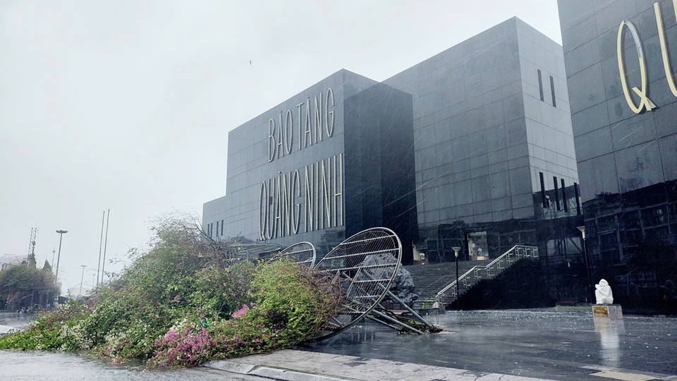 Tại thành phố Hạ Long, Quảng Ninh, rất nhiều cây xanh gãy đổ, biển quảng cáo bay tứ tung rất nguy hiểm. (Ảnh: Thanh Vân/TTXVN)