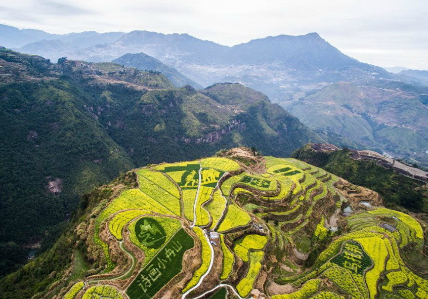 Bắt đầu tư giữa tháng Ba, hàng chục bức tranh được sinh viên Học viện mỹ thuật Trung Quốc tạo nên tại những cánh đồng hoa cải ở huyện Thanh Điền, tỉnh Chiết Giang. (Nguồn: xinhua)