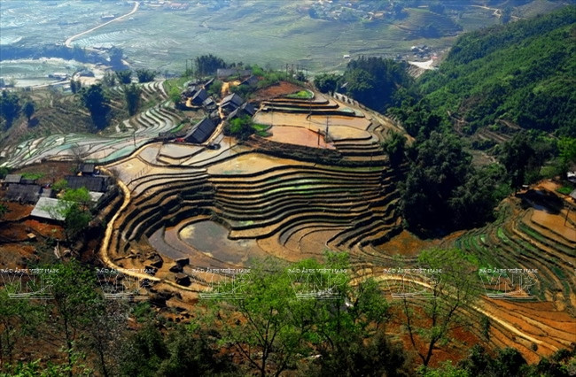 Thung lũng Tả Van cuốn hút bởi phong cảnh thiên nhiên còn rất nguyên sơ với những thửa ruộng bậc thang đẹp ôm lấy các bản làng xung quanh. (Ảnh: Nguyễn Thắng/Báo ảnh Việt Nam)
