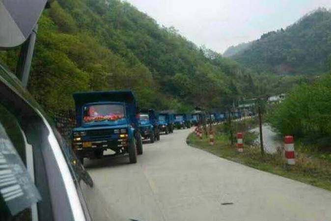 Nhiều người cho rằng đây là một ý tưởng hài hước và độc đáo. (Nguồn: QQ)