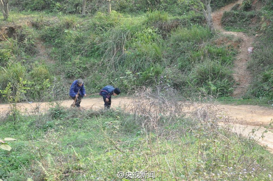 Ông bà sống bằng tiền trợ cấp và chăn nuôi gia cầm. (Nguồn: CCTV)