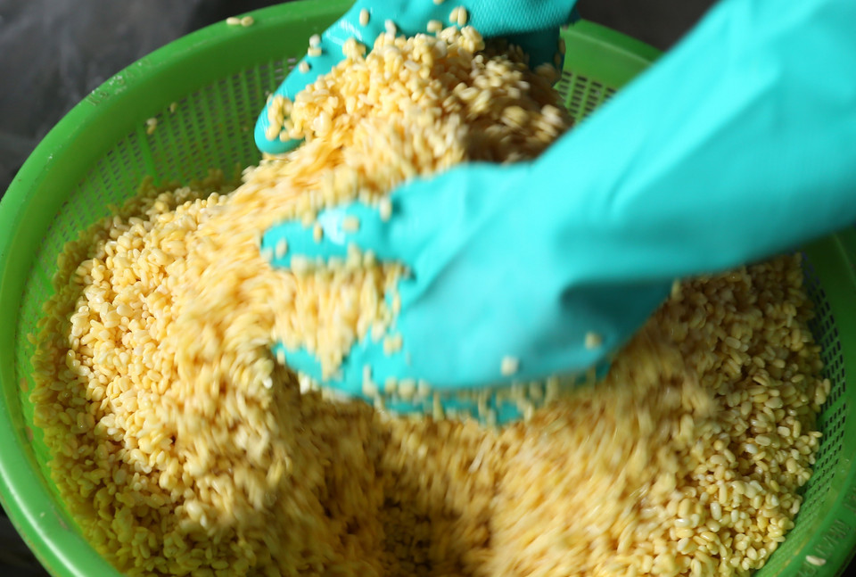 Công đoạn trộn đỗ rất quan trọng tạo nên chất lượng ruột của bánh chưng gù. (Ảnh: Quốc Khánh/TTXVN)