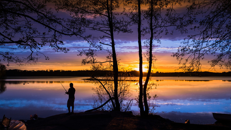 Câu cá đợi mùa Hè