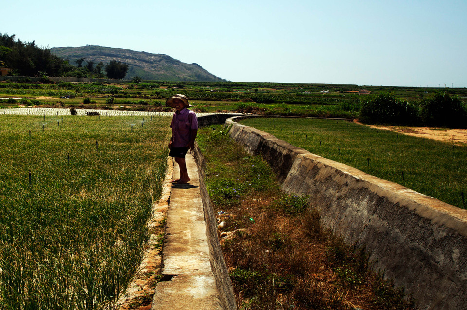 Con kênh này đã không còn nước để phục vụ tưới tiêu cho các ruộng tỏi. (Ảnh: Doãn Đức/Vietnam+)