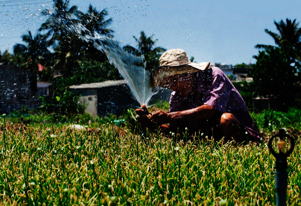 Nhờ những chiếc giếng khổng lồ mà hệ thống vòi phun tự động có cơ hội hoạt động trở lại. (Ảnh: Doãn Đức/Vietnam+)h