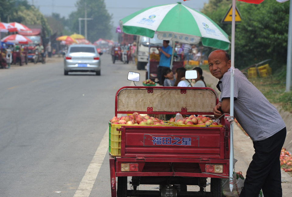 Nông dân bày bán đào ngay trên đường. (Nguồn: QQ)