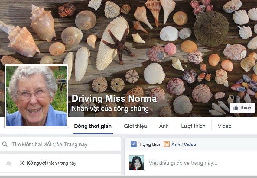 Các bác sỹ ngạc nhiên nhìn bà Norma và xin ý kiến của con trai và con dâu bà. Họ nói rằng họ ủng hộ quyết định của bà. Vậy là, bà cụ 90 tuổi bước vào hành trình du lịch mạo hiểm và dùng tài khoản facebook với tên gọi Driving Miss Norma để ghi lại những câu chuyện của mình.