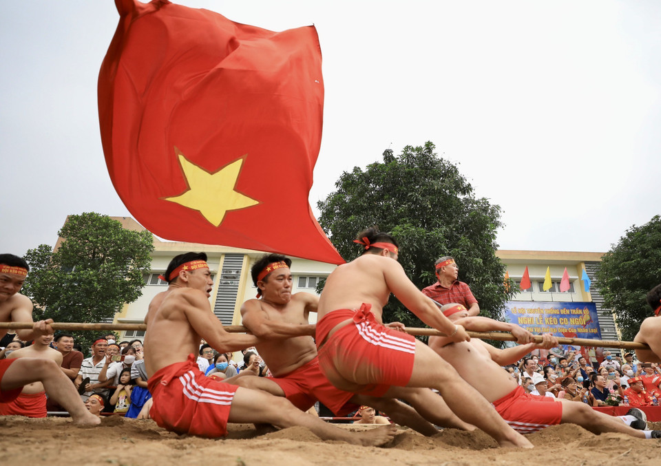 Trong tiếng trống hội rộn rã, tiếng hò reo cổ vũ cả dân làng, trai tráng khoẻ mạnh nhanh tay ra sức kéo cây song. (Ảnh: Tuấn Đức/TTXVN)