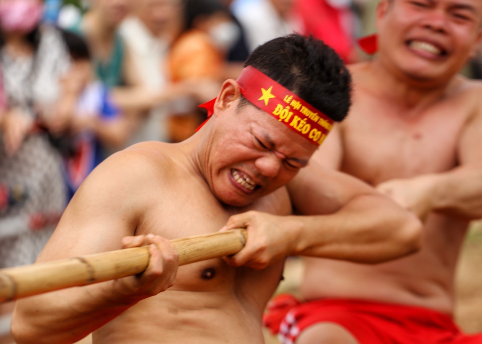 Trong tiếng trống hội rộn rã, tiếng hò reo cổ vũ cả dân làng, trai tráng khoẻ mạnh nhanh tay ra sức kéo cây song. (Ảnh: Tuấn Đức/TTXVN)