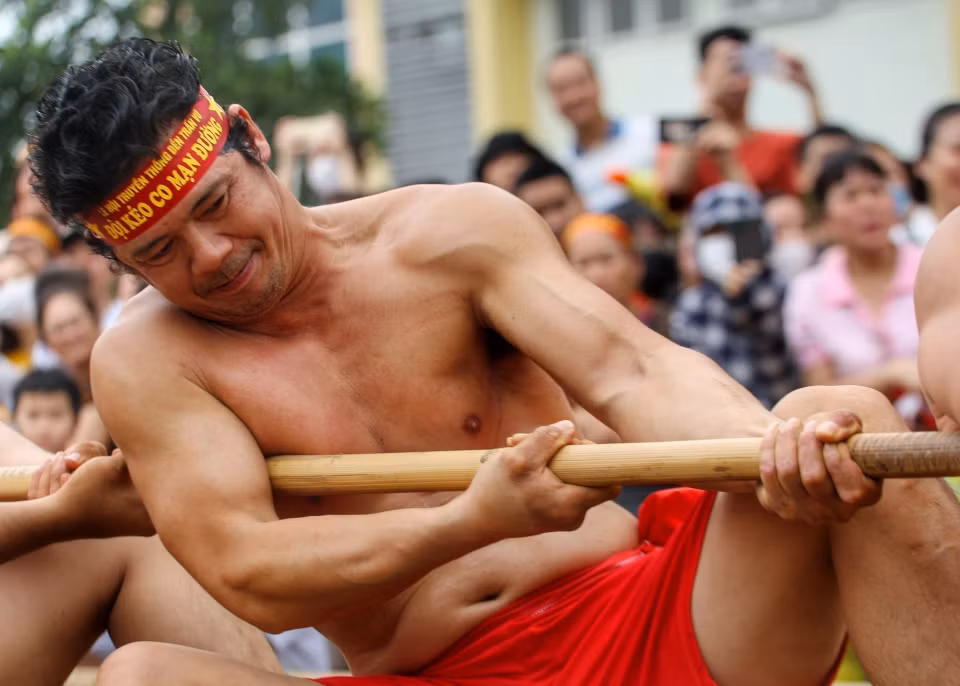 Khác với hội thi kéo co bình thường, vật sử dụng để kéo trong hội thi là cây song to và nhẵn dài khoảng 50m, được kéo qua một lỗ nhỏ trên cột trụ. (Ảnh: Tuấn Đức/TTXVN)