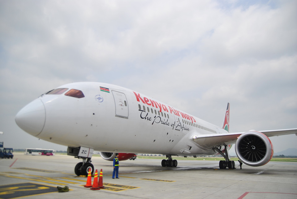 Lần đầu tiên trong lịch sử, một đường bay thẳng từ Châu Phi tới Việt Nam đã được thiết lập.(Ảnh: Võ Phương/Vietnam+)