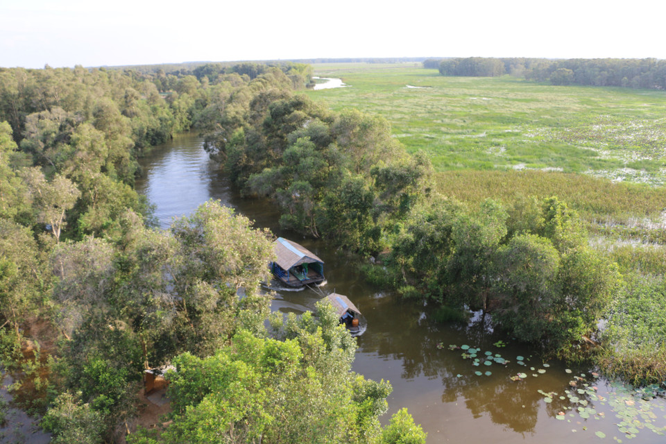 Vườn quốc gia Tràm Chim ở huyện Tam Nông (Đồng Tháp) là khu Ramsar thứ 4 của Việt Nam. (Ảnh: Chương Đài/TTXVN)