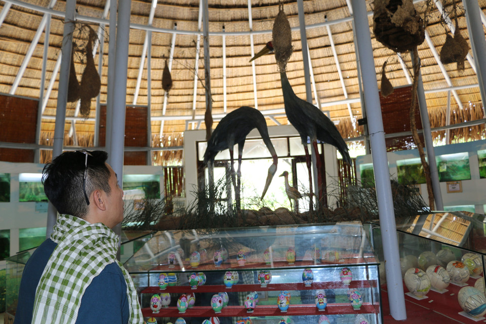 Khách tham quan nhà trưng bày trứng chim và cá nước ngọt trưng bày 130 loài trứng chim, 52 loài cá nước ngọt tiêu biểu của Vườn quốc gia Tràm Chim. (Ảnh: Chương Đài/TTXVN)