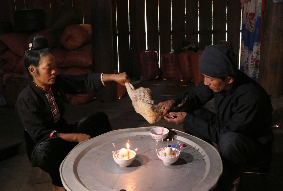 Thầy cúng thực hiện nghi thức cắt tiết gà để làm lễ. (Ảnh: Nguyễn Xuân Tiến/TTXVN)