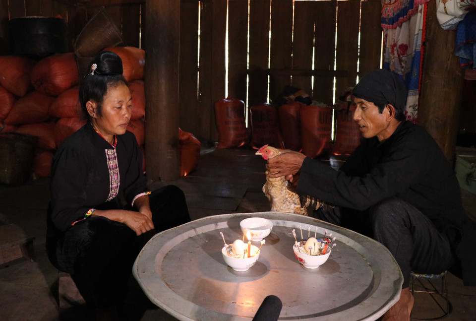 Vật hiến sinh chuẩn bị cho các nghi thức tâm linh phải hội tụ đủ các yếu tố được thầy cúng coi trọng về ngoại hình, màu sắc, trọng lượng và khỏe mạnh. (Ảnh: Nguyễn Xuân Tiến/TTXVN)