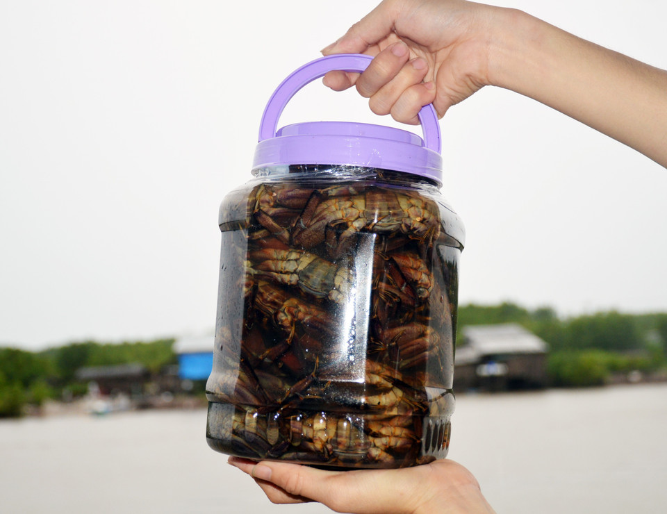 Ba khía muối được bán với giá từ 70.000-120.000 đồng (loại nguyên con), tùy kích cỡ. (Ảnh: Huỳnh Anh/TTXVN)