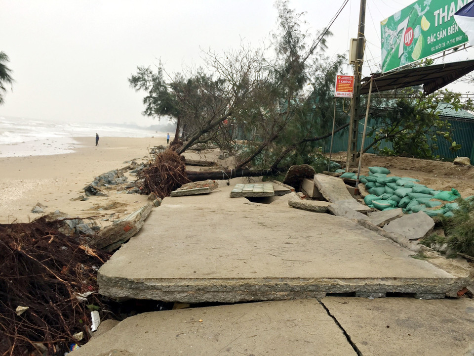 Hệ thống kè biển bị hư hỏng, cây xanh bị bật gốc do sạt lở tại khu vực dọc bãi biển Cửa Lò. (Ảnh: Tá Chuyên/TTXVN)