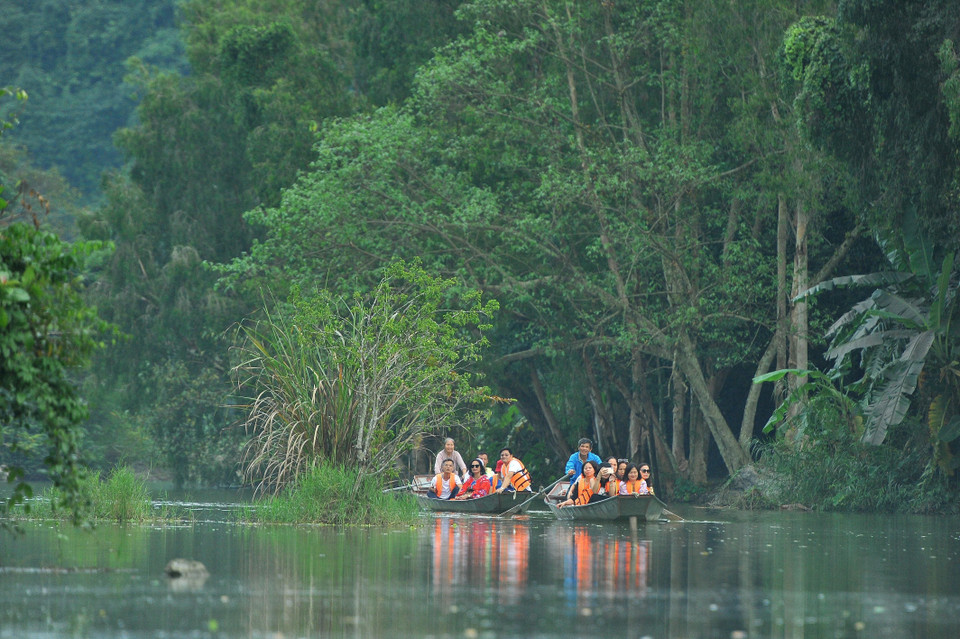 Đến với Thung Chim, du khách được khám phá cuộc sống hoang dã của gần 40 loài chim với khoảng 50.000 con. Khi hoàng hôn buông xuống, từng đàn, từng đàn cò trắng, hạc bay lượn, trú ngụ kín cả một vùng đất ngập nước, du khách sẽ cảm nhận được nét đẹp nguyên sơ kỳ thú của vùng đất này. (Ảnh: Minh Đức/TTXVN)