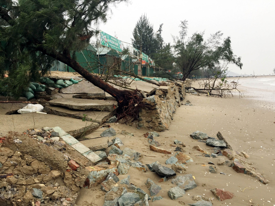 Hệ thống kè biển bị hư hỏng, cây xanh bị bật gốc do sạt lở tại khu vực dọc bãi biển Cửa Lò. (Ảnh: Tá Chuyên/TTXVN)