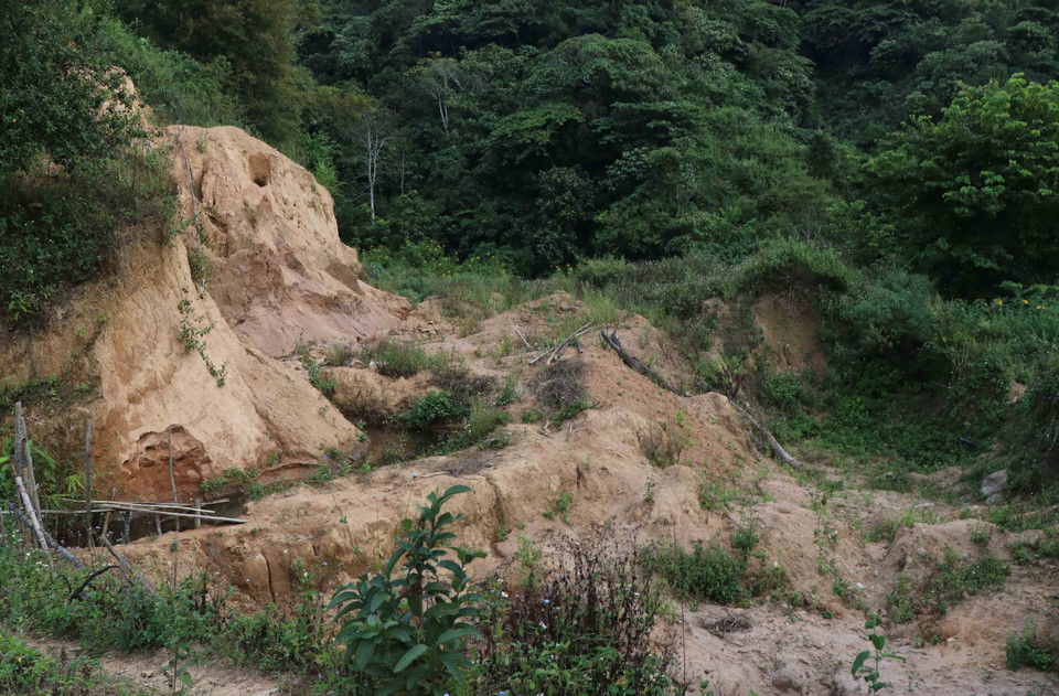 Cảnh quan tự nhiên, môi trường sinh cảnh khu vực vùng đệm rừng đặc dụng bị tác động nghiêm trọng trước nạn khai thác cát chui. (Ảnh: Xuân Tiến/TTXVN)