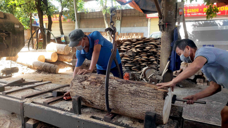 Cố định gỗ nguyên liệu trước khi chế biến gỗ tại thôn Đoài (Yên Lạc, Vĩnh Phúc). (Ảnh: Hoàng Hùng/TTXVN)