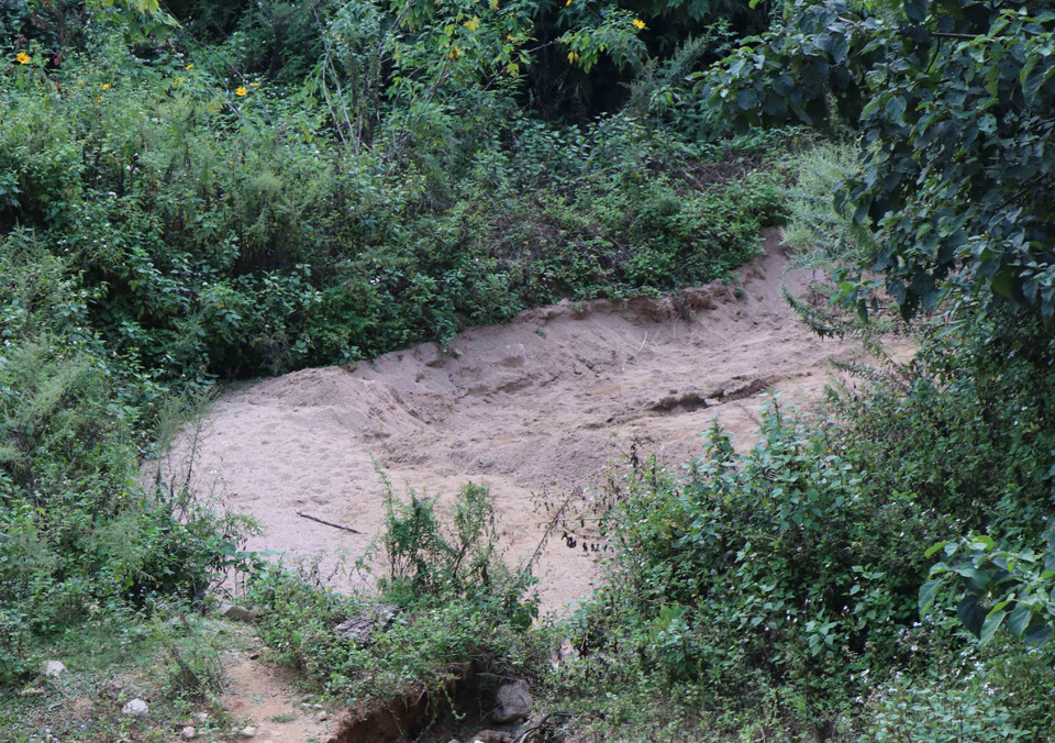 Một bãi cát khác nằm sâu trong vùng quy hoạch rừng đặc dụng. (Ảnh: Xuân Tiến/TTXVN)