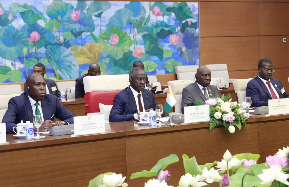 Chủ tịch Quốc hội Bờ Biển Ngà (Côte d'Ivoire) tại buổi hội đàm. (Ảnh: Doãn Tấn/TTXVN)