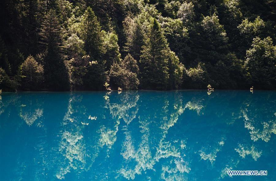 Hình ảnh hồ Tê Ngưu Hải trong Công viên Quốc gia Cửu Trại Câu ở phía Tây Nam tỉnh Tứ Xuyên của Trung Quốc. (Nguồn: THX)