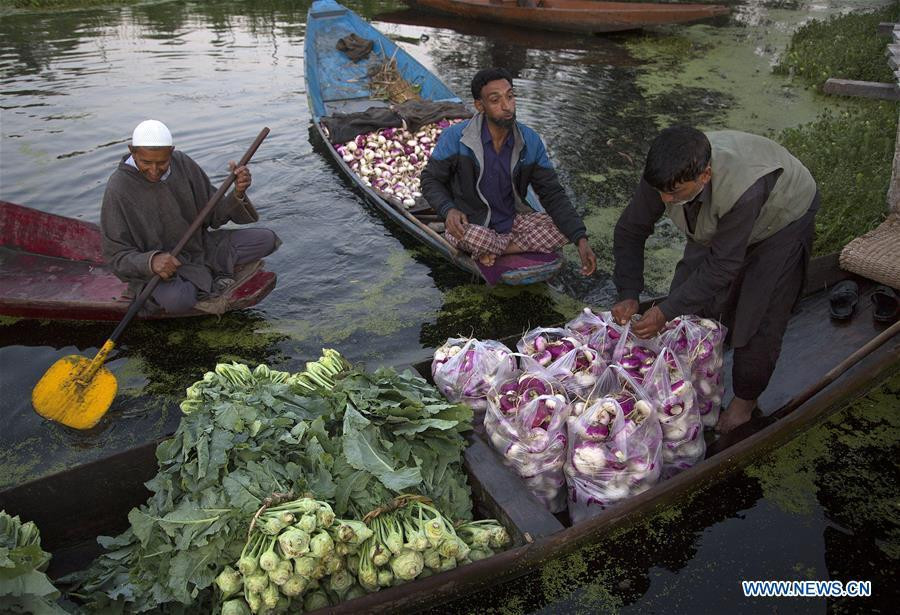 Không bày bán nhiều loại hoa quả giống như các chợ nổi ở Đông Nam Á, những thuyền bán trên hồ Dal tập trung chủ yếu là các hàng rau củ. (Nguồn: Tân Hoa xã)