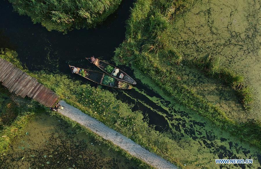 Ghé thăm phiên chợ nổi này, du khách sẽ có dịp hiểu thêm về cuộc sống của người dân vùng sông nước ở Ấn Độ. (Nguồn: Tân Hoa xã)