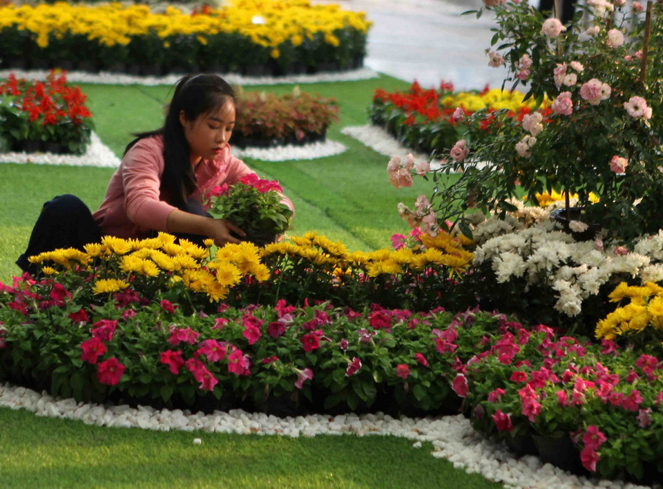 Chuẩn bị hoa cho ngày hội. (Ảnh: Thanh Tùng/TTXVN)