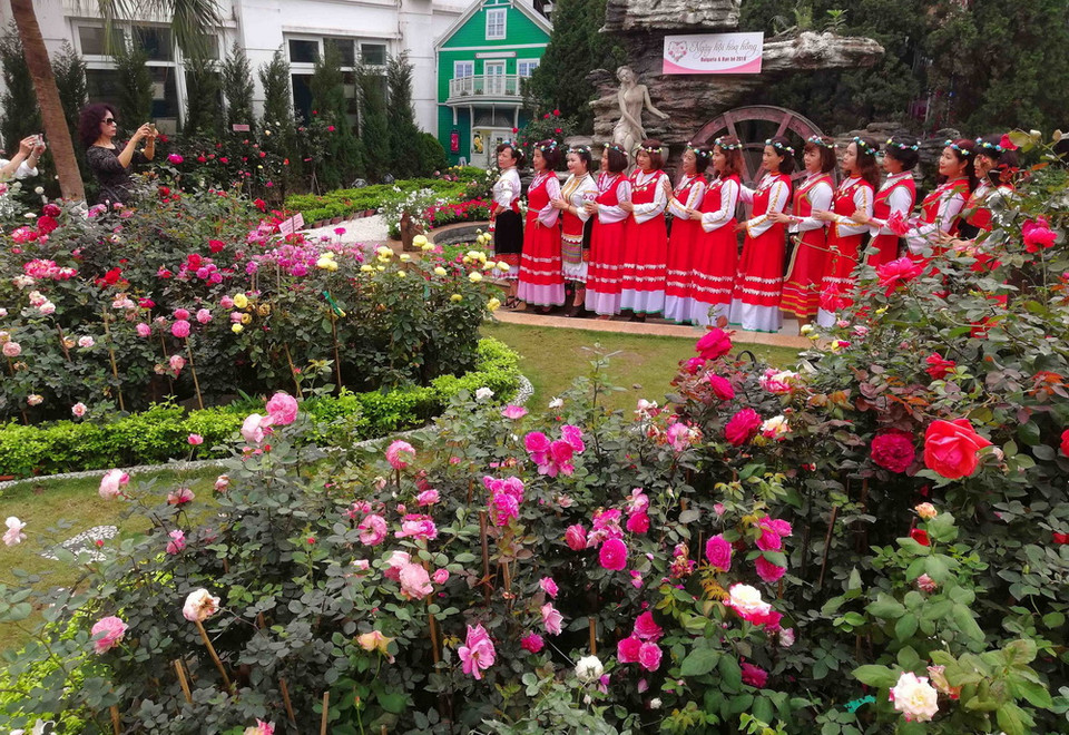 Muôn sắc hoa hồng Bulgaria. (Ảnh: Thanh Tùng/TTXVN)