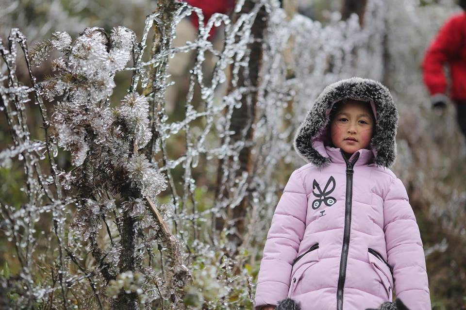Băng tuyết bắt đầu xuất hiện vào khoảng 10 giờ sáng 11/1 tại đỉnh đèo Ô Quý Hồ, huyện Sa Pa, tỉnh Lào Cai khi nhiệt độ chỉ khoảng -1°C. (Ảnh: Lê Minh Sơn/Vietnam+)