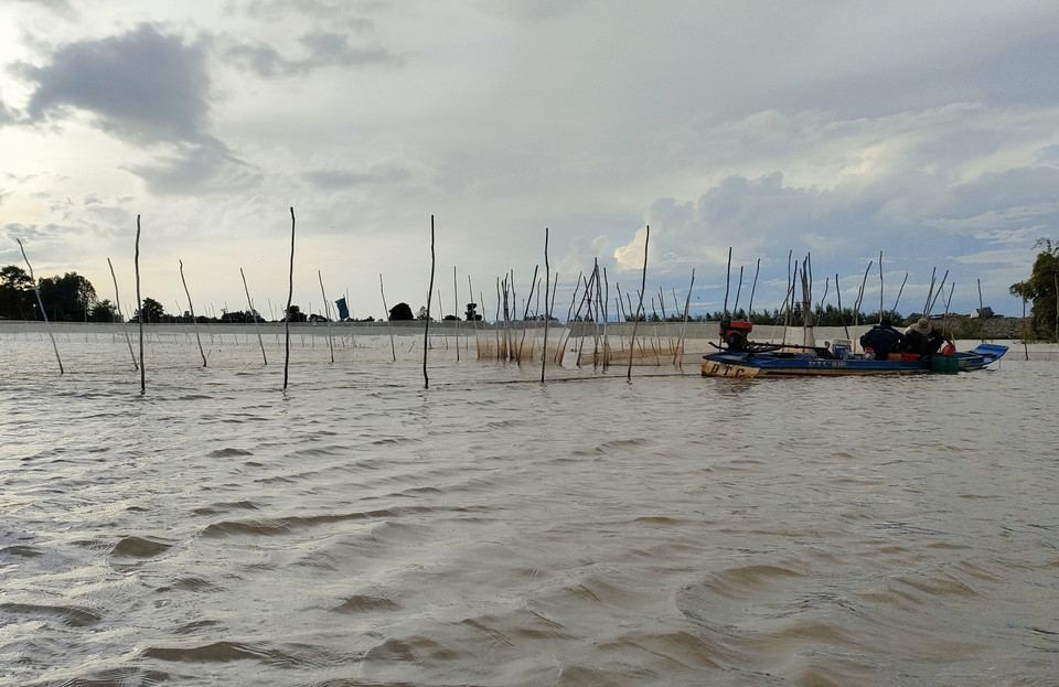 Lũ năm nay về sớm, ngay từ đầu tháng Sáu Âm lịch, nước bắt đầu tràn đồng, nước về sớm, lên chậm và cao hơn so với cùng kỳ 2 năm gần đây (năm 2020 và 2021), nhưng vẫn thấp hơn nhiều so với những năm về trước nên cá, tôm,...cũng ít dần. (Ảnh: Công Mạo/TTXVN)