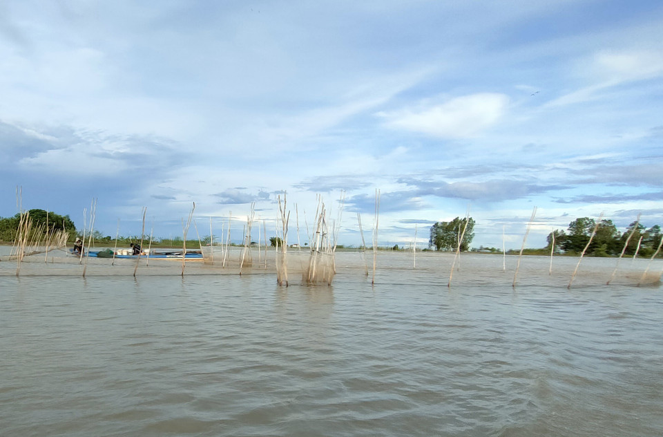 Người dân đánh bắt thủy sản trên cánh đồng ngập lũ ở xã Phú Hội, huyện An Phú, tỉnh An Giang. (Ảnh: Công Mạo/TTXVN)